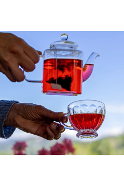 LAZİKA Hisli Harman Canfeza (Beije Çayı) 18'li PLA Poşet - Kırmızı Ginseng, Kakao, Hibiskus