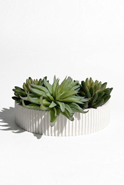 Lea Concept Luxepot Dekoratif Aranjman Beton Saksısı - El Yapımı