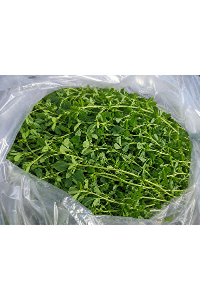 Taze Yonca - Bol Yaprakları Yüsek Proteinli (Prosementi) - 5 KG