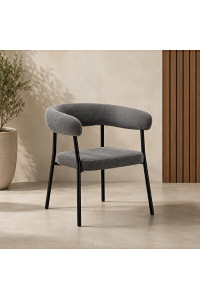 N.zone Modern Dark Grey Chair