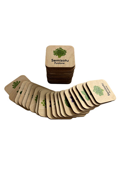 Mind of Toys Memory Cards Matching Game, Fruits, 20 Pairs / 40 Wooden Cards