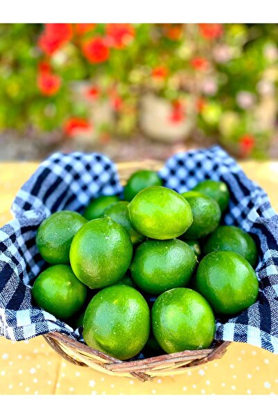 ANAMUR DALINDAN Mayer Limon ( 1 kg )
