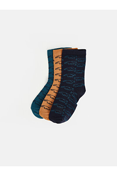 LC Waikiki I Embroidered Boys' Socks 3-Piece Set from Freezen Store