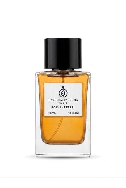 Armada Extreme Eau de Parfum 100مل - الريحان الحار والأخشاب الجافة