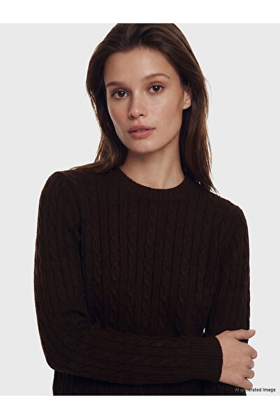 LC Waikiki Lcw Modest Brown Hair Braid Patterned Women's Knitwear Sweater