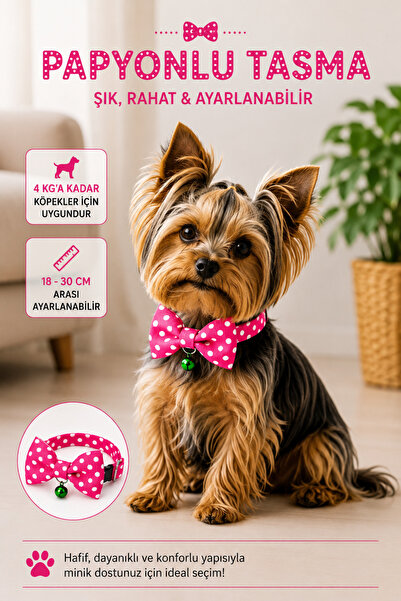Cocopet Papyonlu Köpek Boyun Tasması Pembe Puan Desenli 4 kg a kadar Küçük ır...