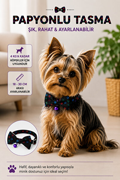 Cocopet Papyonlu Köpek Boyun Tasması Pati Desenli 4 kg a kadar Küçük ırklar i...