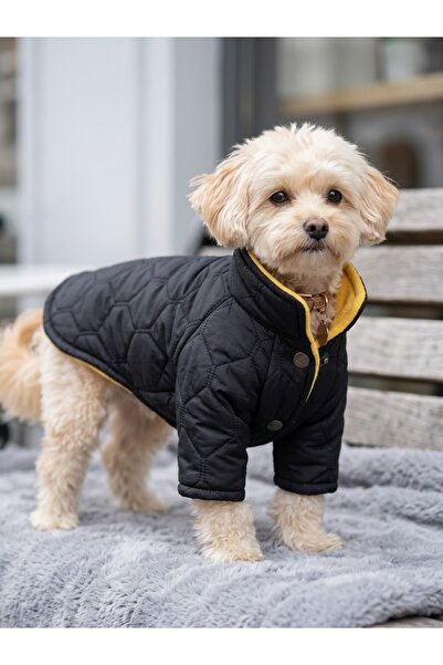Buddy Store Kapitone Kedi Köpek Montu - İçi Sarı Polar Astarlı Dik Yaka Çıtçı...