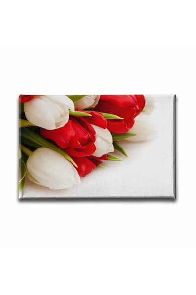 enmalife Pictură decorativă pe pânză cu lalele