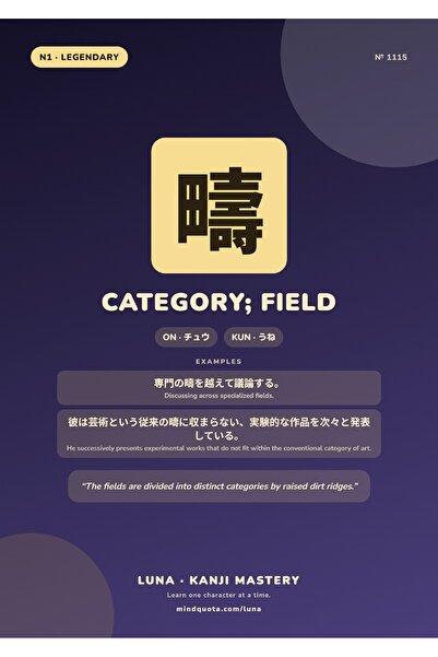 OEM Poster Kanji Categorie si Camp, Scriere Japoneza Ideograma, Carton 250g, A4