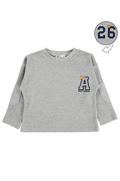 Civil Boys 26 ŠTAMPANA SWEATSHIRT ZA DECU OD 2-5 GODINA - SIVA
