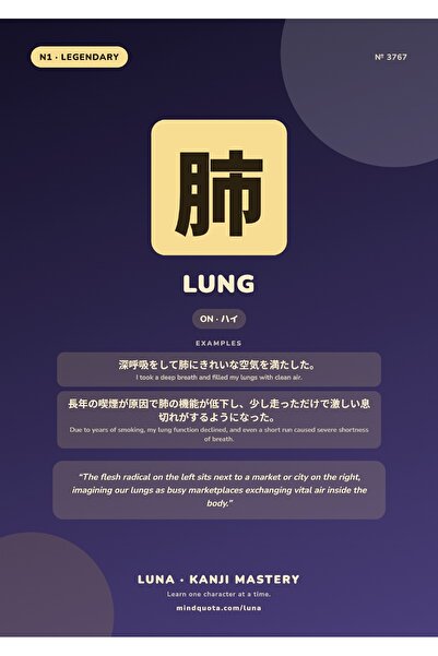 OEM Poster Infografic Kanji Plaman, Educativ si Caligrafie Japoneza, Carton 2...
