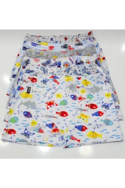 Zulu Ticaret Tutku-Erkek Çocuk 3-Pack Mixed Patterned Elastane Cotton Boxer 0254