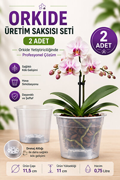 plant-home 2’li Orkide Üretim Saksısı Seti 0,75 Litre Şeffaf Orkide Saksısı K...