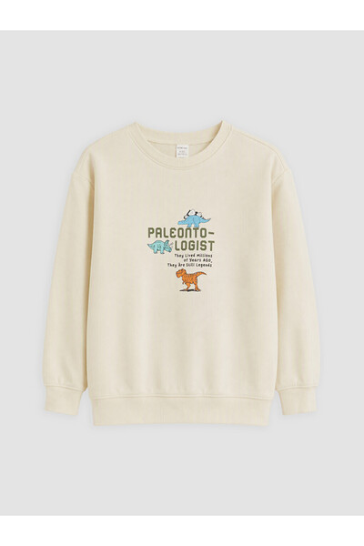 LC Waikiki Printed boy's sweatshirt
