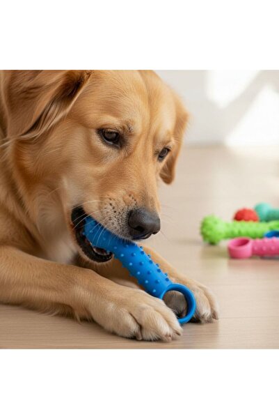 idei Mini dog toy with ring L9.5cm × W3.5cm, chew-resistant anti-stress toy, ...