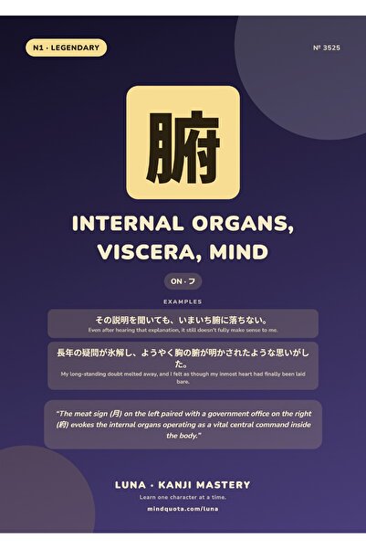 OEM Poster Infografic Kanji Organe Interne Viscere Minte, Design Educativ, Ca...