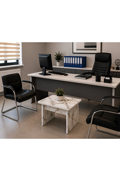 ED Efelez Design Liva Ofis Sehpası, Orta Sehpa, Ara sehpa, 60 x 50 cm Tabla, ...