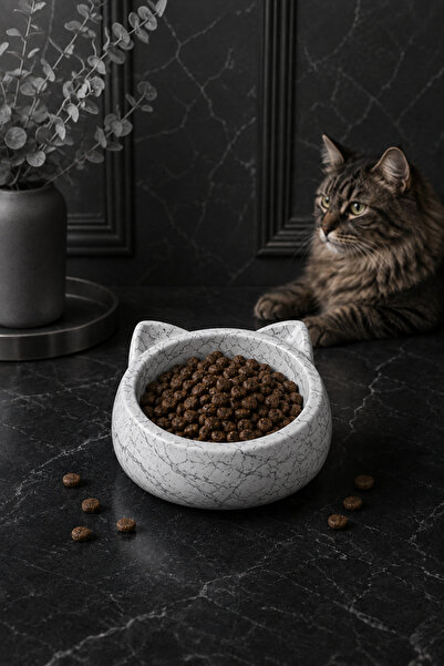 betonmall Beton Mama Kabı Kedi Köpek Mama Kabı