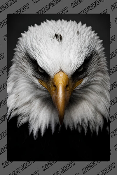 Kuzey Craft Kartal Metal Poster Duvar Tablosu Özel Tasarım Hediye Parlak HD B...