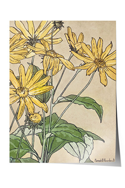 Zestia Poster Premium Botanic Vintage, Ilustrație cu floarea-soarelui galbenă...