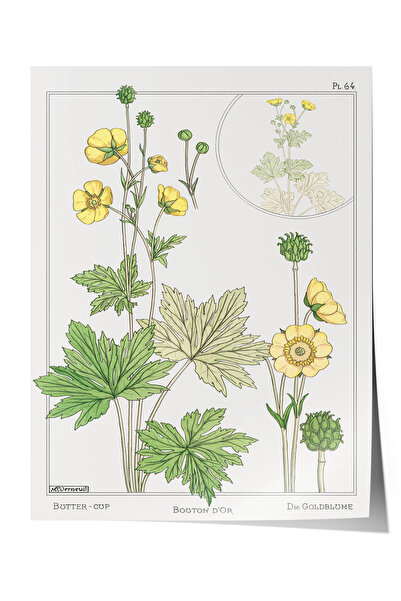 Zestia Poster vintage botanic premium, ilustrație cu flori galbene de nuntă, ...