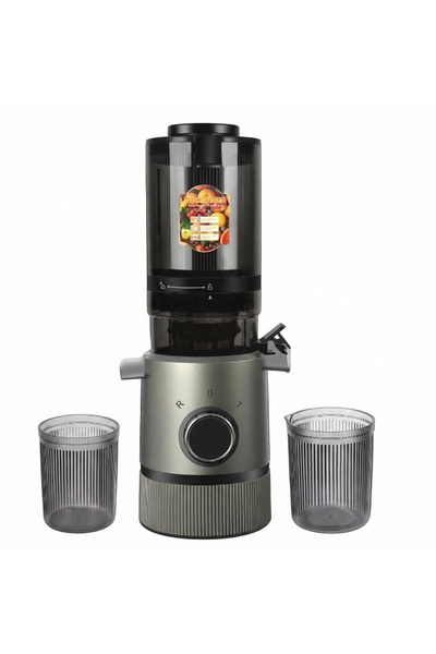 Generic Brand Titanium-Grey Slow Masticating Juicer With Dual Collection Cups