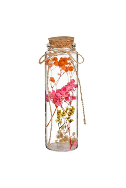 CATIANO Sticla Decorativa cu Flori Uscate Ø5x16cm