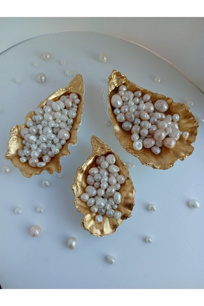 TOLU Mum İncili İstiridye - 3lü set - Altın Oyster ve Beyaz İnci - Sunumluk, ...