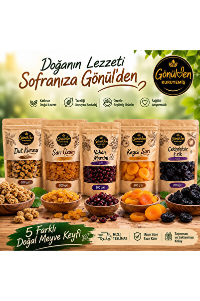 MEYVE KURUSU SETİ DOĞAL ENERJİ DEPOSU KATKISIZ SAĞLIKLI ATIŞTIRMALIK