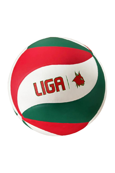 Liga Sport ΒΟΛΕΪ ΣΜΑΣΧ LIGASPORT^