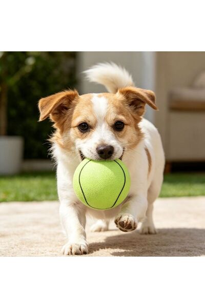 idei Minge jucărie cauciuc pentru câini, modele baschet‑tenis‑baseball, diame...