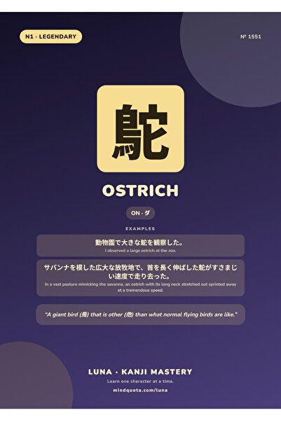 OEM Poster Infografic Kanji Strut, Design Educativ Japonez, Carton 250g, A4
