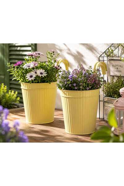 Generic Brand Set 2 ghivece suspendate din metal