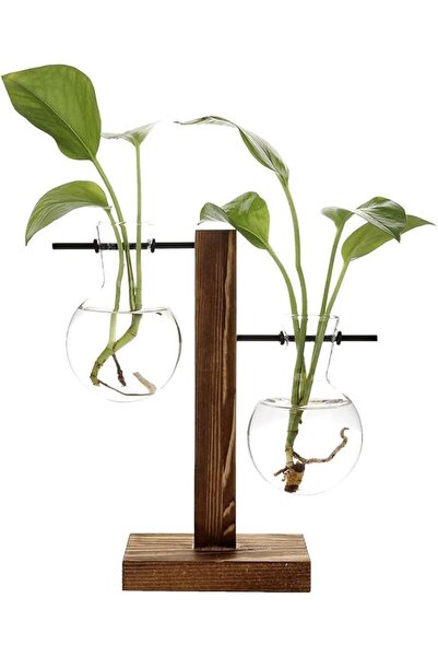 Other Terrarium Hydroponic Plant Vases Vintage Flower Pot Transparent Vase Wo...