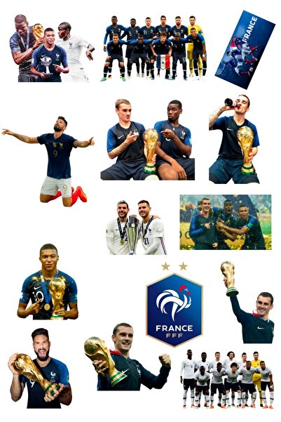 OEM 14x Stickers France World Cup 2018