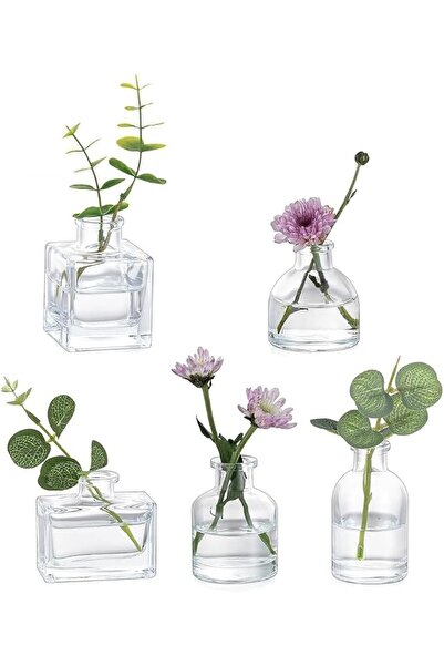 GENERAL Small Clear Glass Bud Vases, Set of 5, Mini Bottle Shapes, Bulk Mini ...