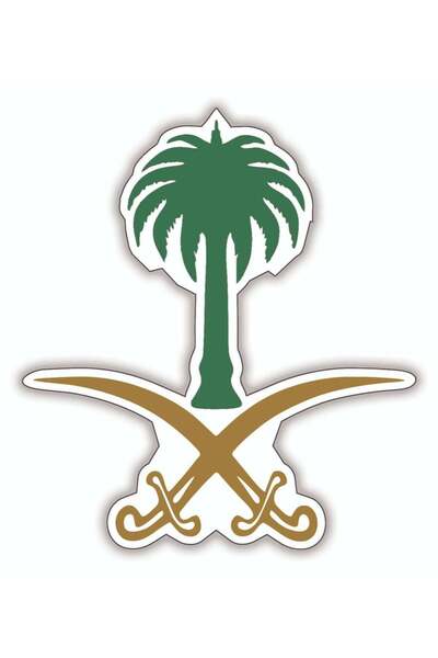 Droplyte 10 Pcs Kingdom Of Saudi Arabia Stickers For Event Laptop Car Nationa...