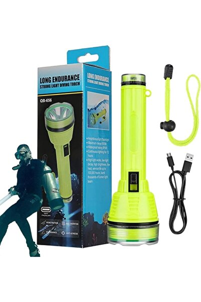 JOYZZZ Dive Light, Professional Scuba Diving Flashlight with 200M Waterproof ...