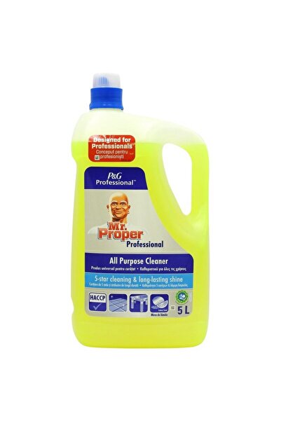 SİDE Mr Proper,LEMON, solutie pardoseli lemn 5L
