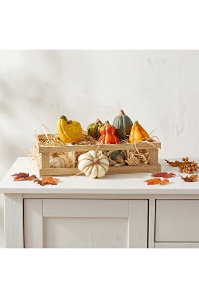 Ornament24 Set 12 mini dovleci decorativi din ceramica, in ladita de lemn, mu...
