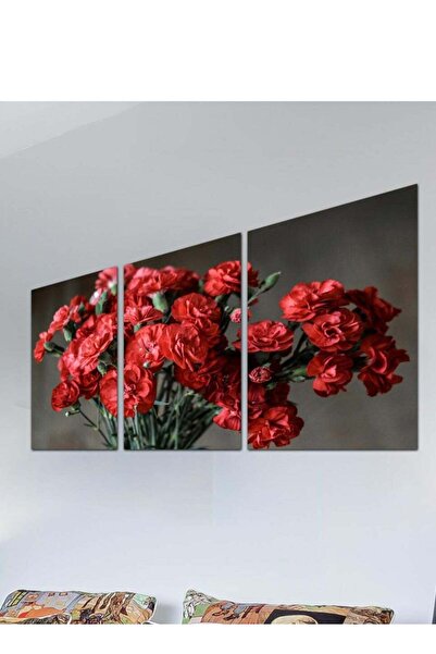 Droplyte Set Of 3 Framed Canvas Flowers Wall Arts Stretched Over Wooden Frame...