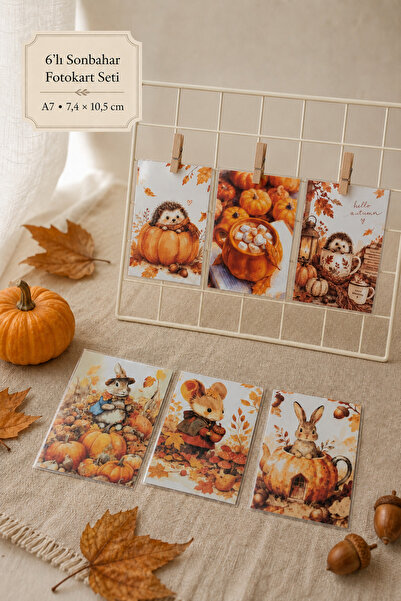 AlohamoraShop **6’lı Sonbahar Temalı A7 Fotokart Seti – Laminasyonlu Mini Pos...
