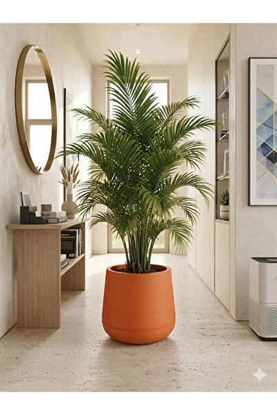 hepsibiyerde Atlas Saksı 7 Litre Büyük Boy Dekoratif Saksı 32 cm İç Dış Mekan...