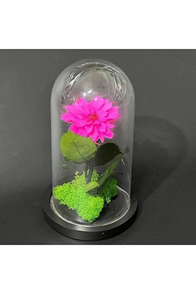 Trandafir Criogenat Cyclamen și dahlia conservate într-o cupolă de sticlă
