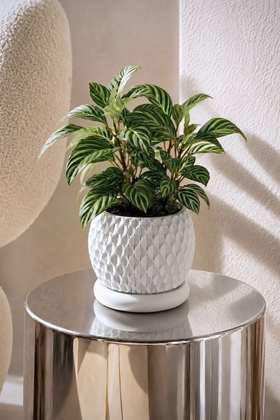 Objexia Damla Kabartmalı Top Saksı Drenajlı 15 cm Masaüstü Sukulent ve Çiçek ...