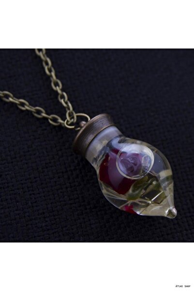 ZERO LAND Ilkestor Sulu Fanus Pendant (203440) Ebruli Standard