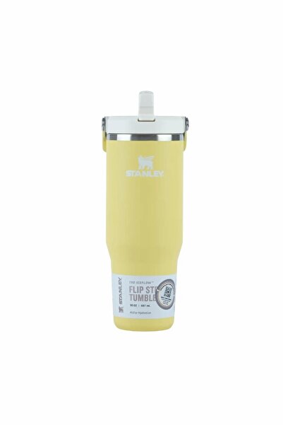 Stanley كوب تيرموس آيسي فلو فليب سترو 2.0 مع مصاصة 0.89 لتر/30 أونصة أصفر 10-13424-0219
