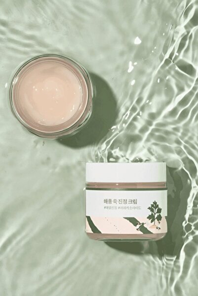 DeFacto Round Lab - Mugwort Calming Cream (Moisture and Hydration Boosting An...