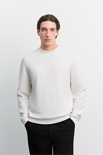 Avva Men's Ecru Crew Neck Jacquard Sweatshirt A62Y1256